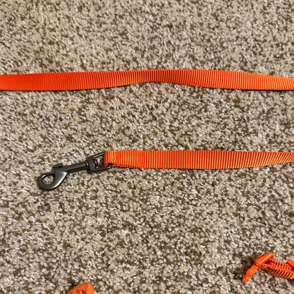 Orange Cat Harness with Black pumpkin Pattern Nwot